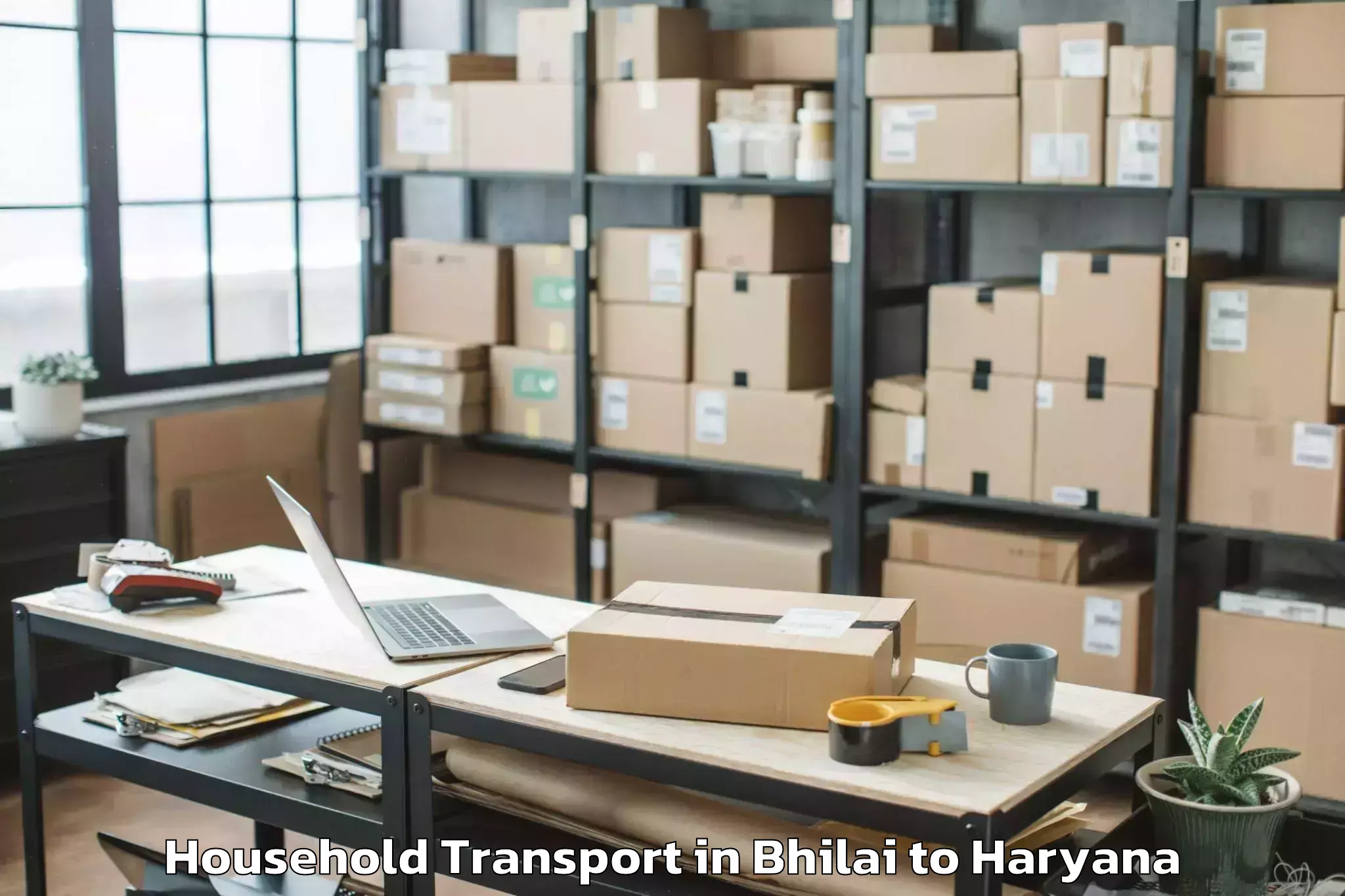 Get Bhilai to Safidon Household Transport